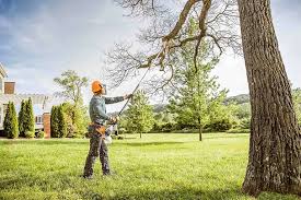 Best Organic Lawn Care Solutions  in Grandwood Park, IL